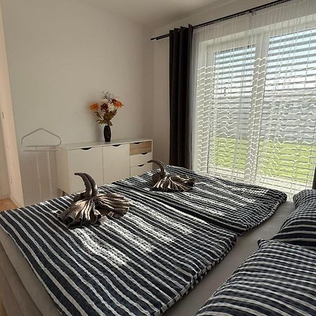 Klimatizovany Apartmanovy Dom, S Virivkou, 1B セネツ エクステリア 写真