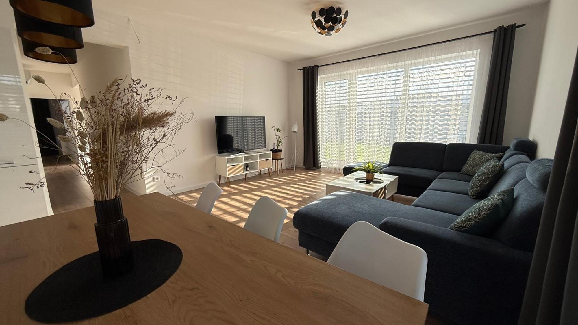 Klimatizovany Apartmanovy Dom, S Virivkou, 1B セネツ エクステリア 写真